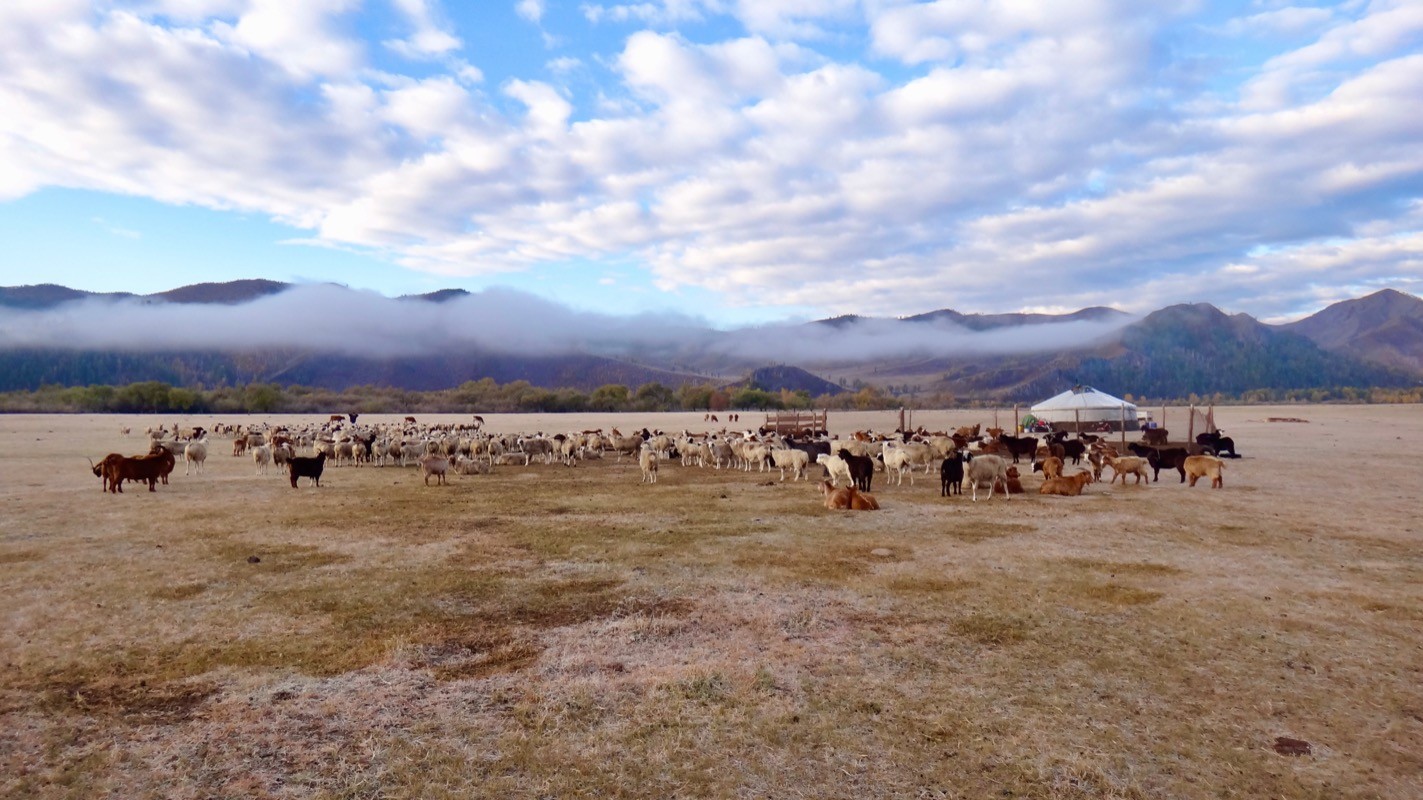 Nomad’s land: Herders, their animals and the landscape among the Mongols (Eng/Mon)